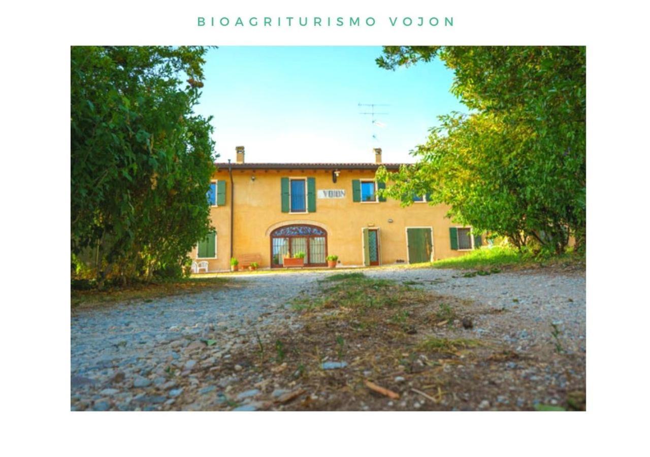 Villa Bio Agriturismo Vojon Ponti sul Mincio Exterior foto